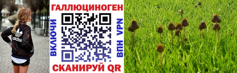 Галлюциногенные грибы Cubensis  где купить наркотик  Называевск 